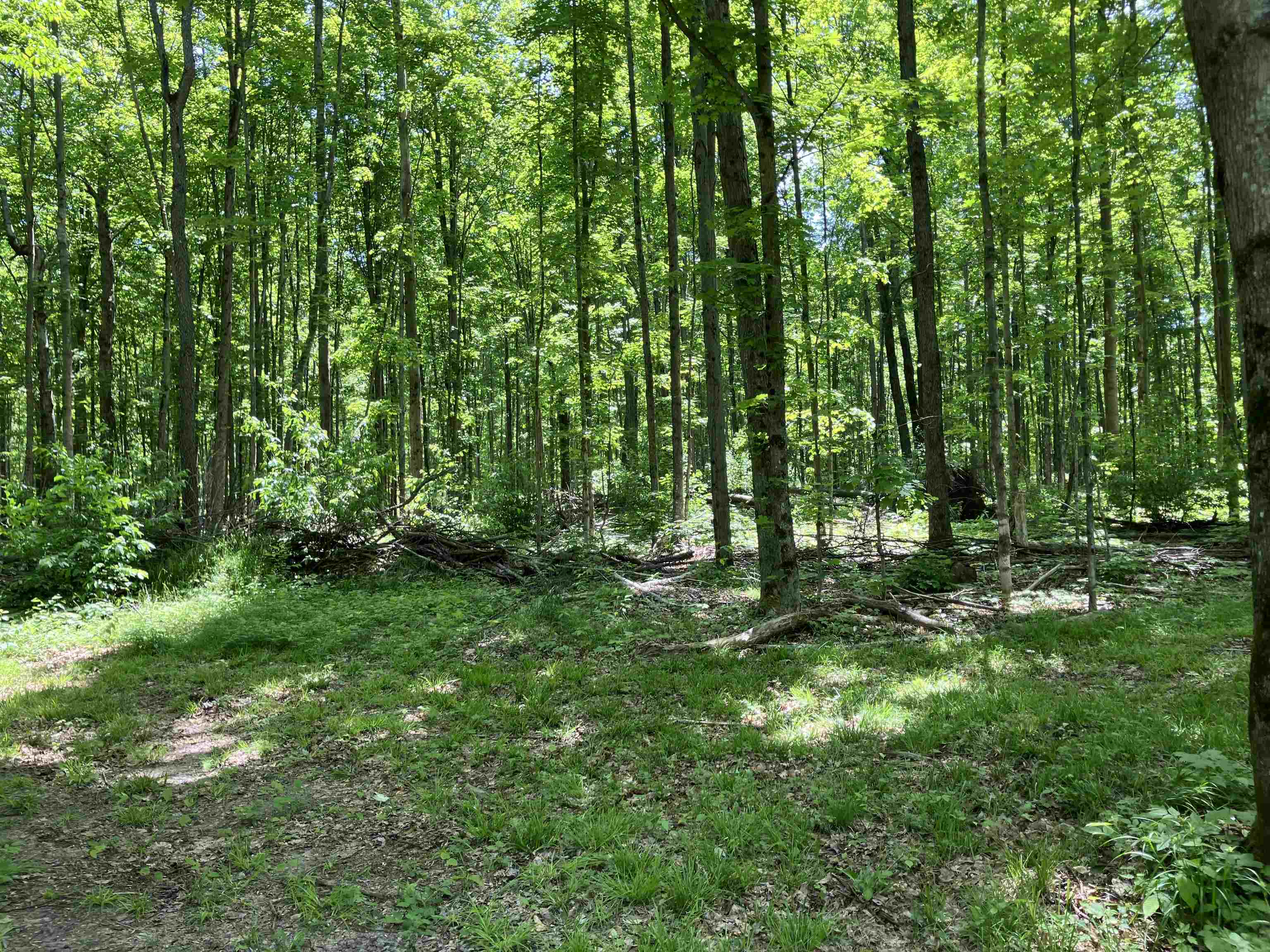 0 Cemetery Road Mancelona, MI 49659 - Photo 16 of 25