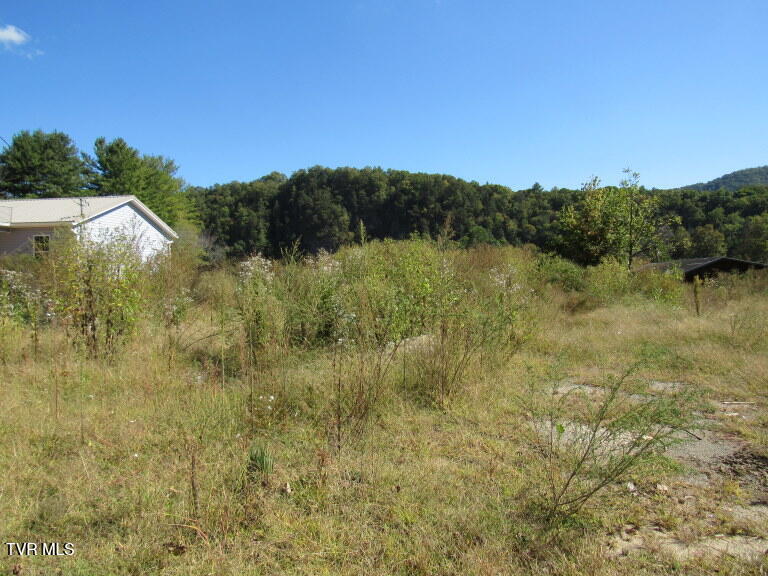 168 Bumpus Cove Road, Unit 8 Erwin, TN 37650 - Photo 14 of 22 IMG_5282