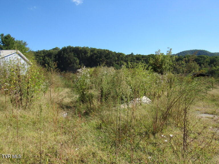 168 Bumpus Cove Road, Unit 8 Erwin, TN 37650 - Photo 6 of 22 IMG_5275