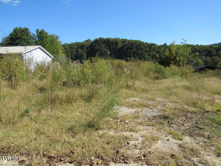 168 Bumpus Cove Road, Unit 8 Erwin, TN 37650 - Photo 7 of 22 IMG_5274