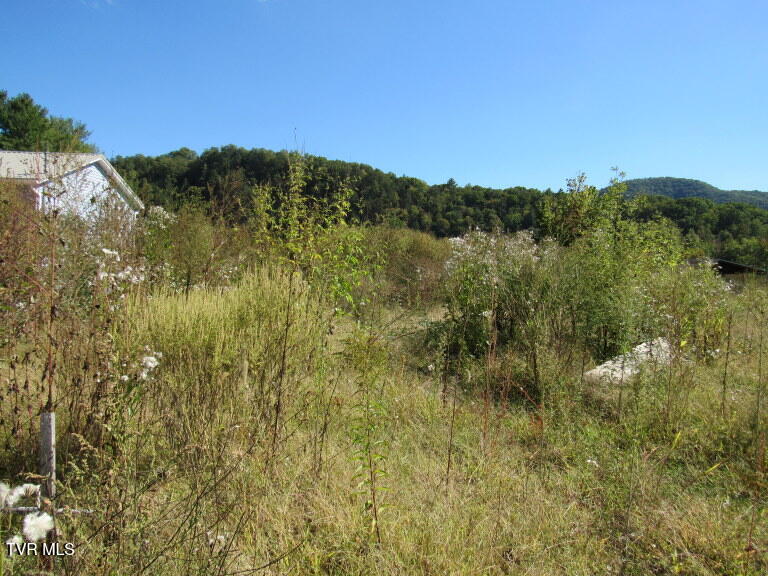 168 Bumpus Cove Road, Unit 8 Erwin, TN 37650 - Photo 8 of 22 IMG_5276