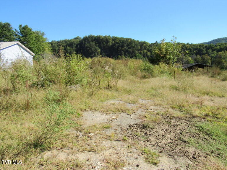 168 Bumpus Cove Road, Unit 8 Erwin, TN 37650 - Photo 9 of 22 IMG_5273