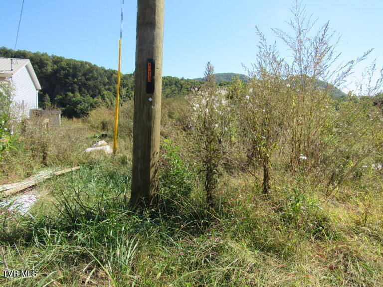 168 Bumpus Cove Road, Unit 8 Erwin, TN 37650 - Photo 10 of 22 IMG_5279