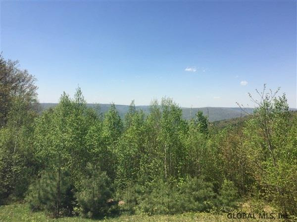 106 High Meadow Road Middleburgh, NY 12122 - Photo 4 of 10 Photo 4
