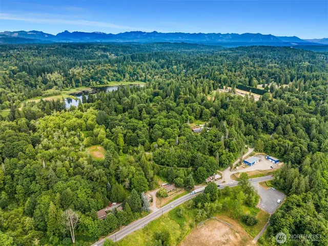a view of a lush green forest with a lake