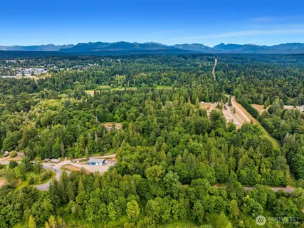 a view of a lush green hillside and a houses