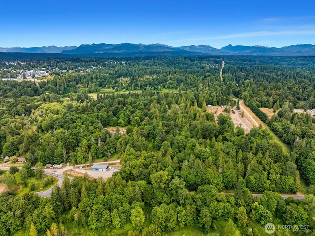 a view of a lush green hillside and a houses