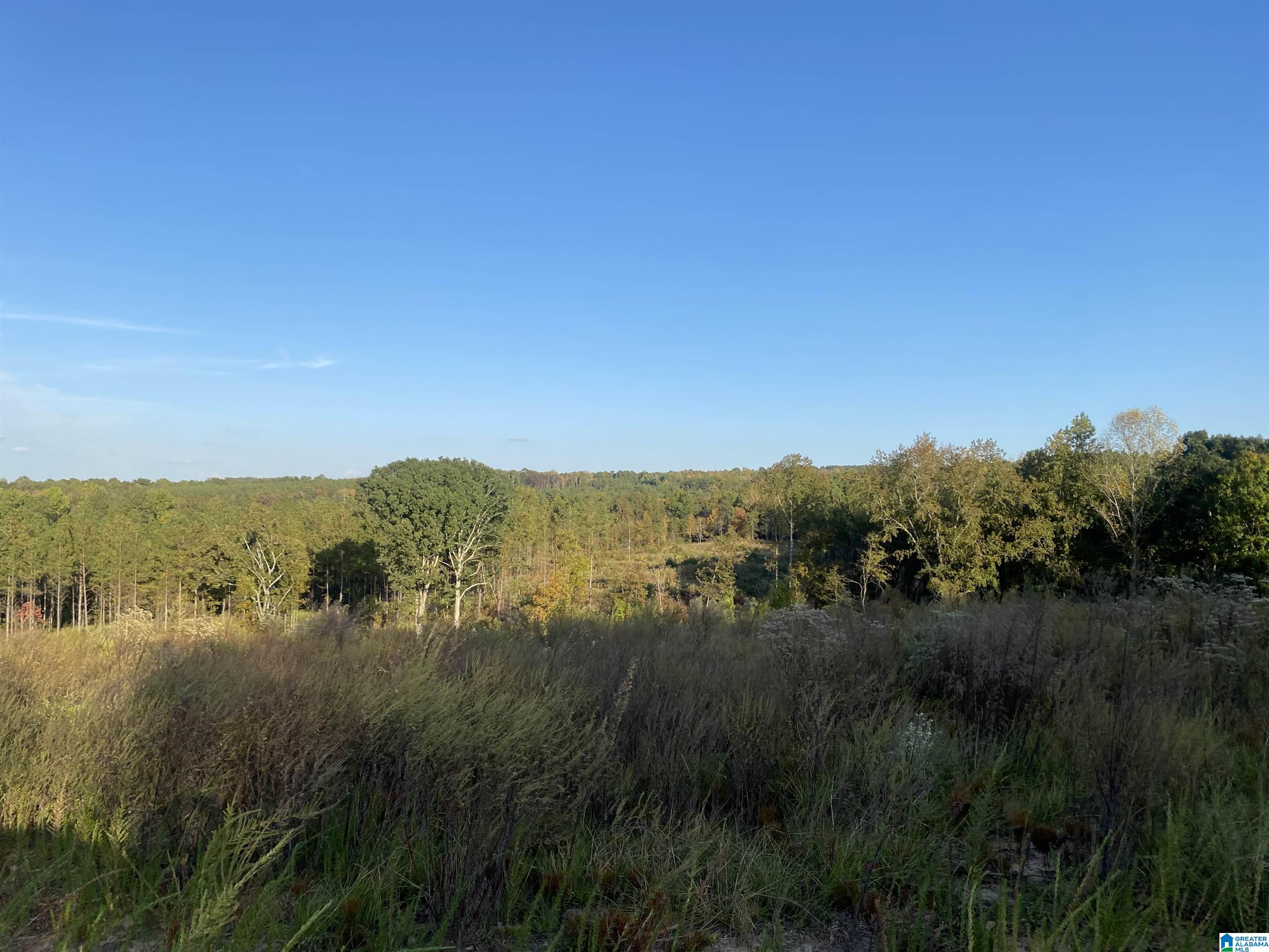 0 Frost Road, Unit 100 / ACRES Springville, AL 35146 - Photo 16 of 60