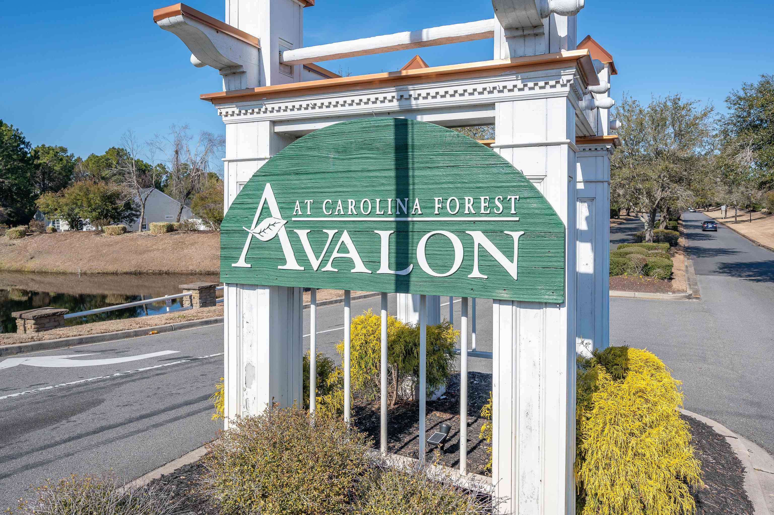 465 Dandelion Lane Myrtle Beach, SC 29579 - Photo 32 of 37