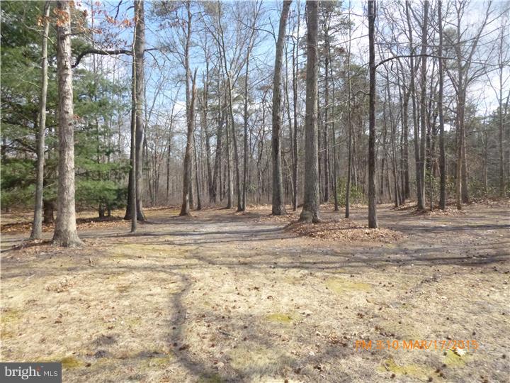 3474 Jackson Road Williamstown, NJ 08094 - Photo 15 of 15 View in Back