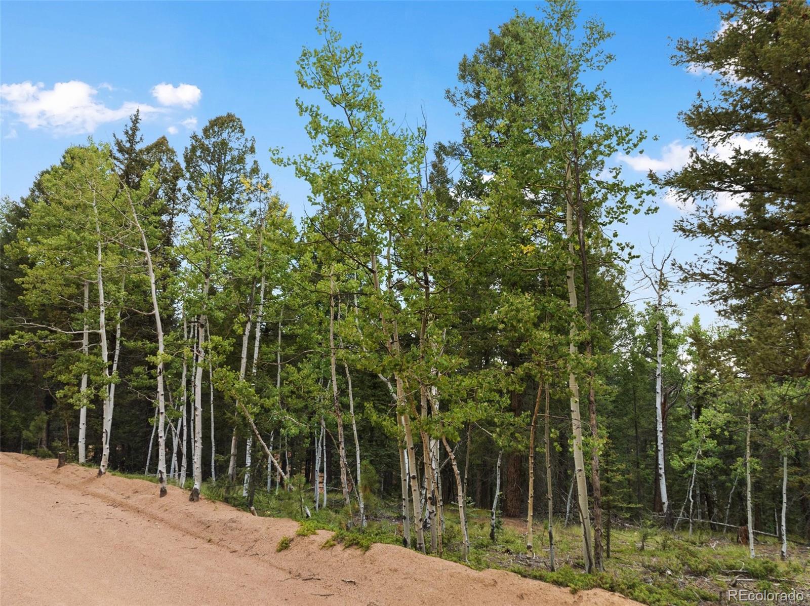 810 Ridge Road Divide, CO 80814 - Photo 24 of 27