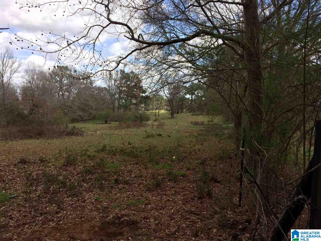 769 Chandler Mountain Road Steele, AL 35987 - Photo 37 of 41