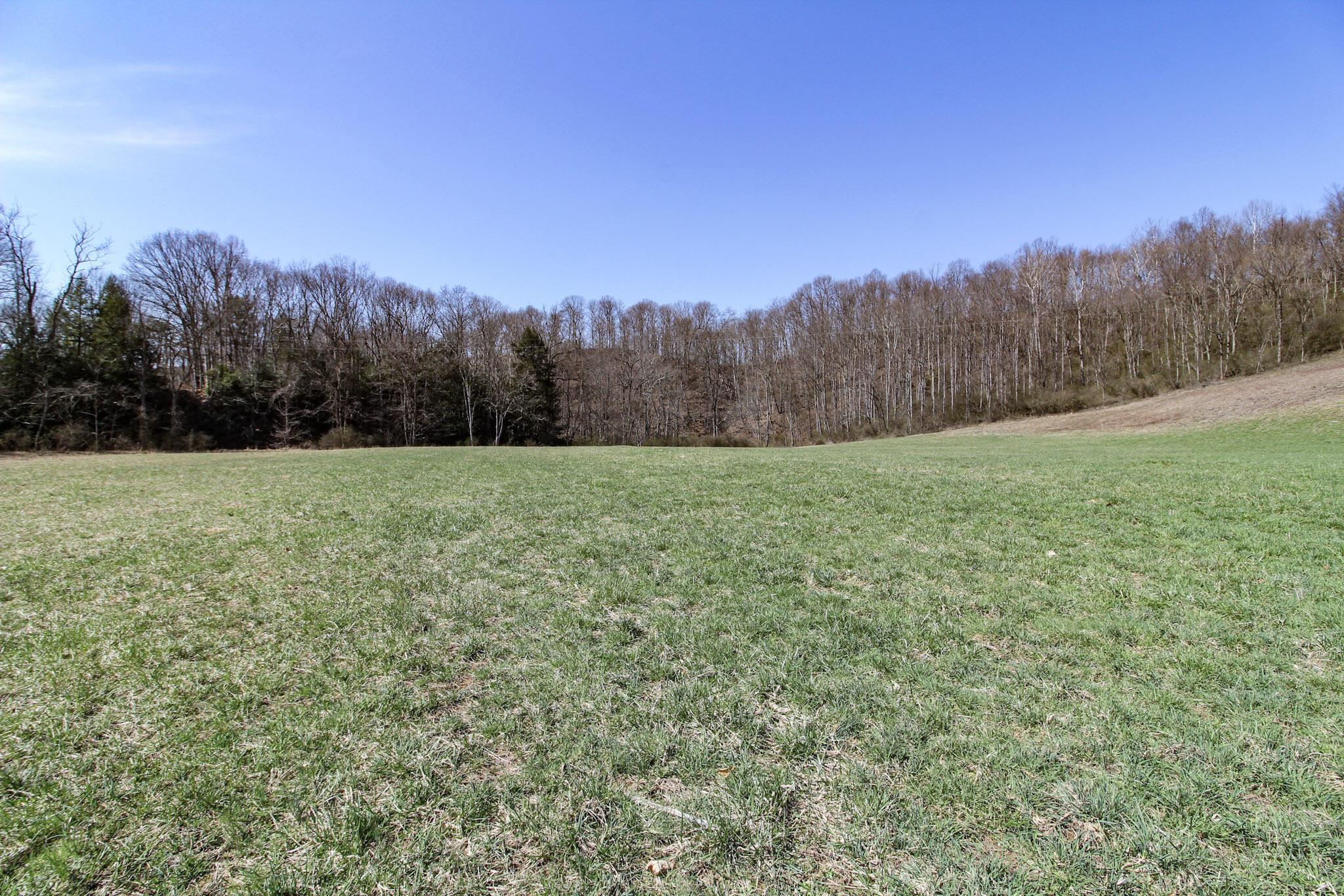 39353 Walnut Camp Road Sardis, OH 43946 - Photo 26 of 42 26-IMG_8160