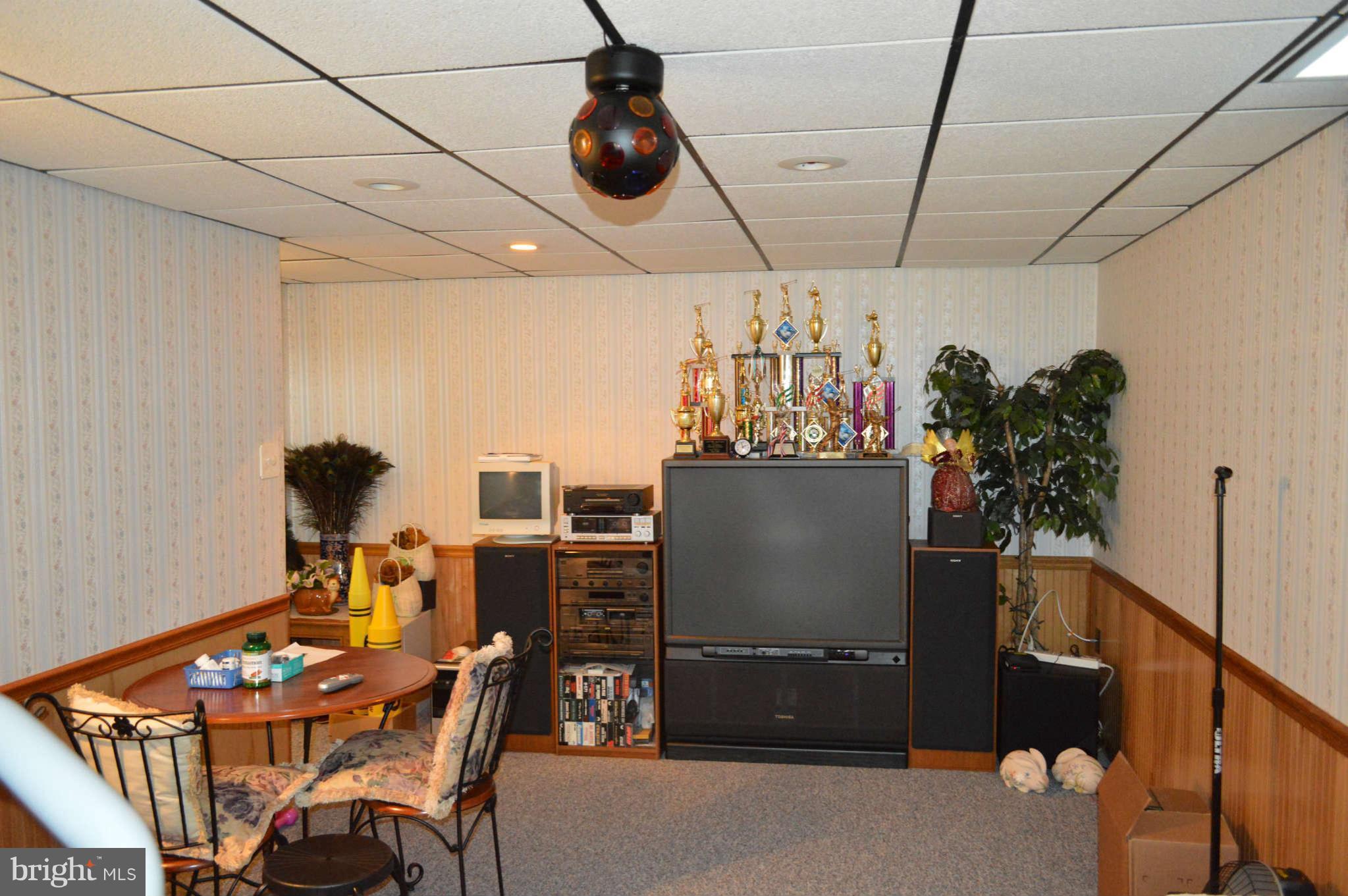 319 Timber Grove Road Owings Mills, MD 21117 - Photo 13 of 22 lower level family room