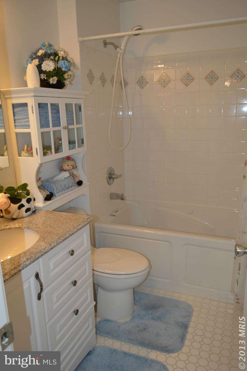 319 Timber Grove Road Owings Mills, MD 21117 - Photo 19 of 22 Main level full bath
