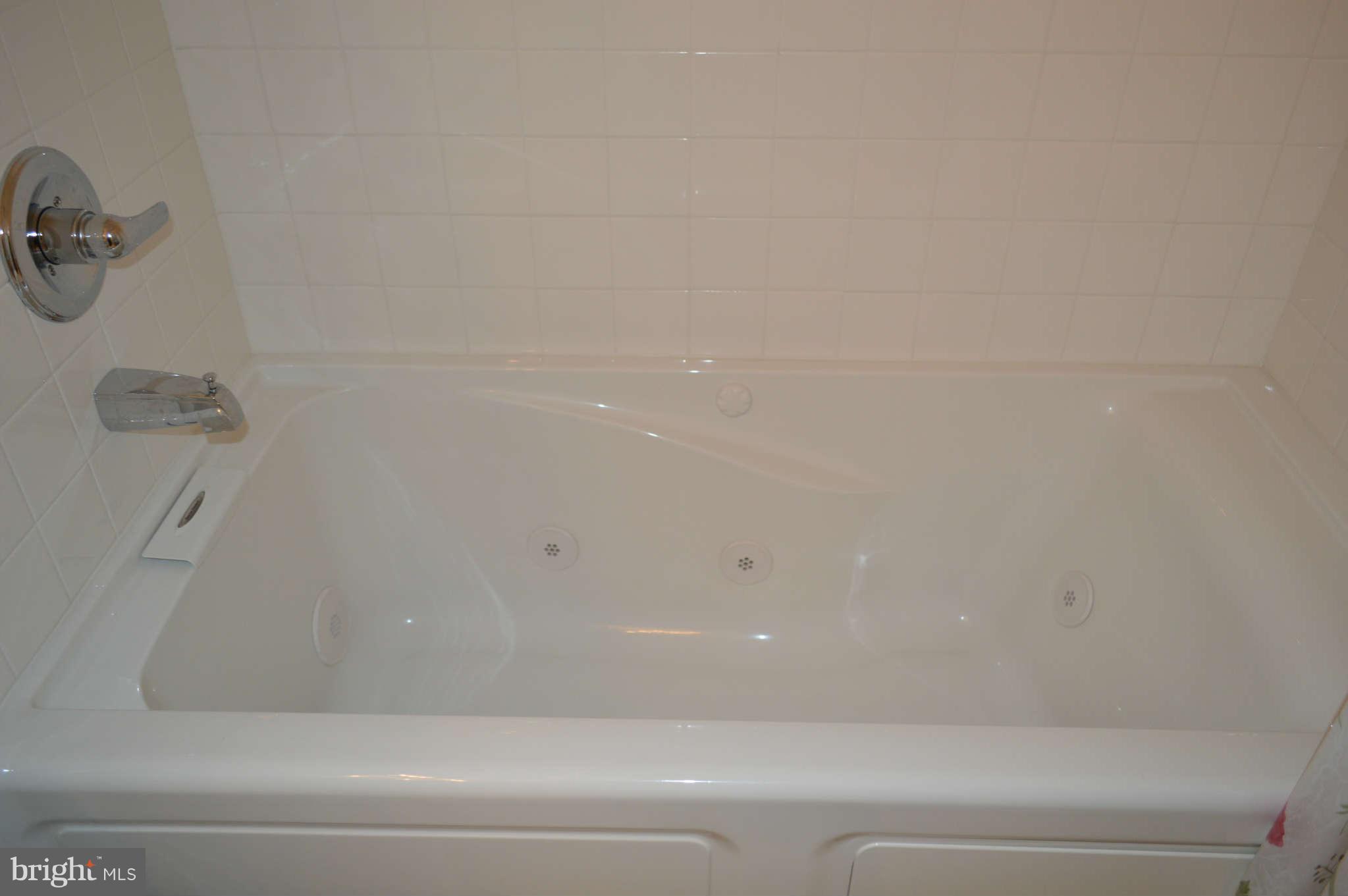319 Timber Grove Road Owings Mills, MD 21117 - Photo 20 of 22 Jacuzzi tub