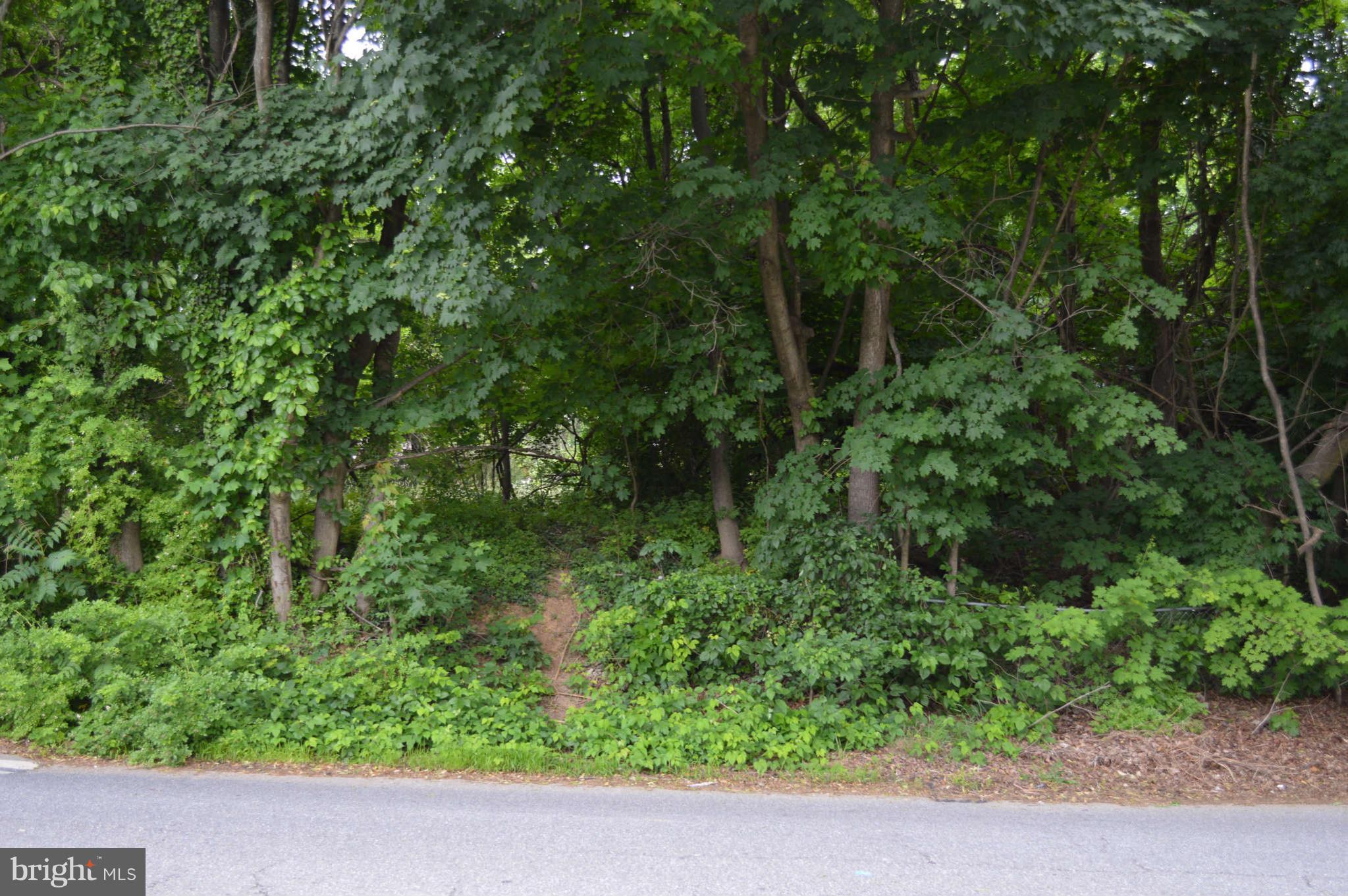 319 Timber Grove Road Owings Mills, MD 21117 - Photo 22 of 22 Front porch view
