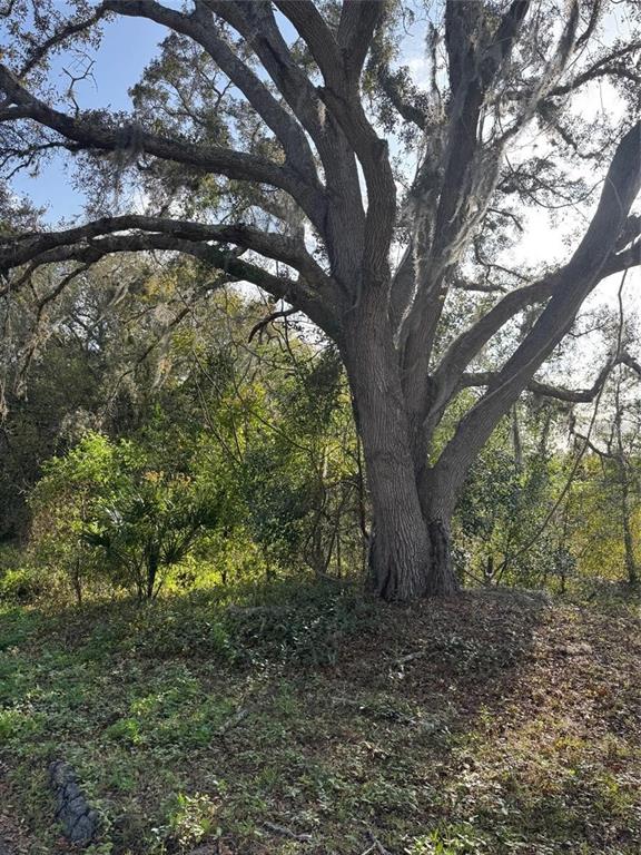 44 State Road Eustis, FL 32736 - Photo 5 of 6