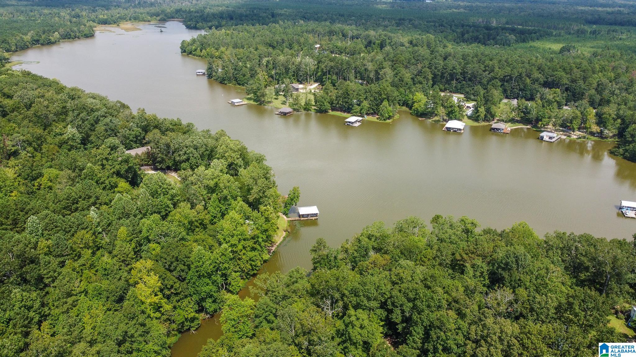 0 Colvin Springs Road Ashville, AL 35953 - Photo 24 of 31 Gallery Image 24