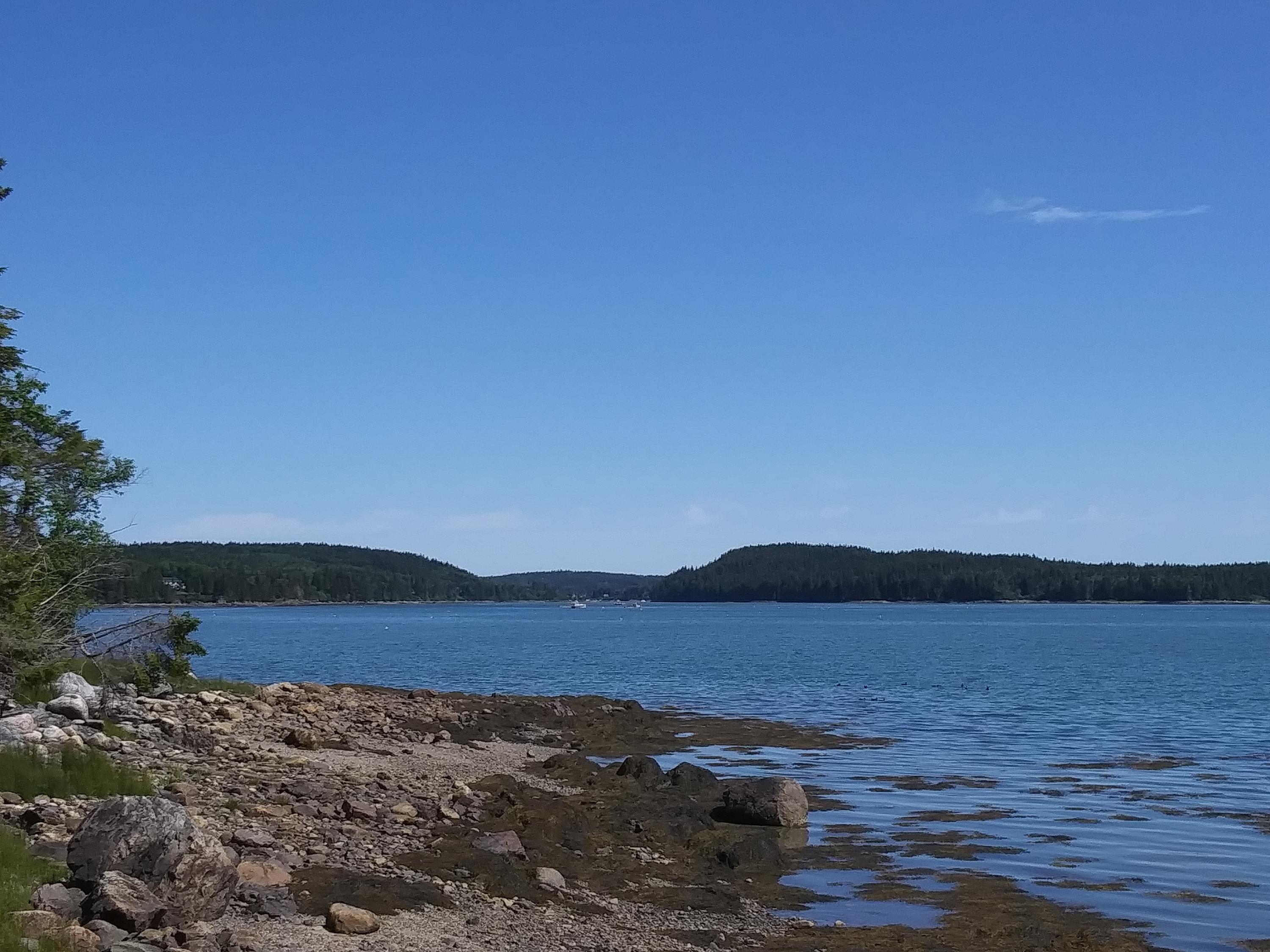 710 Duck Cove Road Roque Bluffs, ME 04654 - Photo 35 of 40 20190718_102617