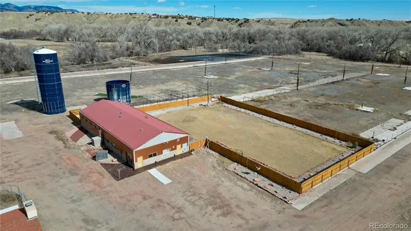 a view of a yard with trees