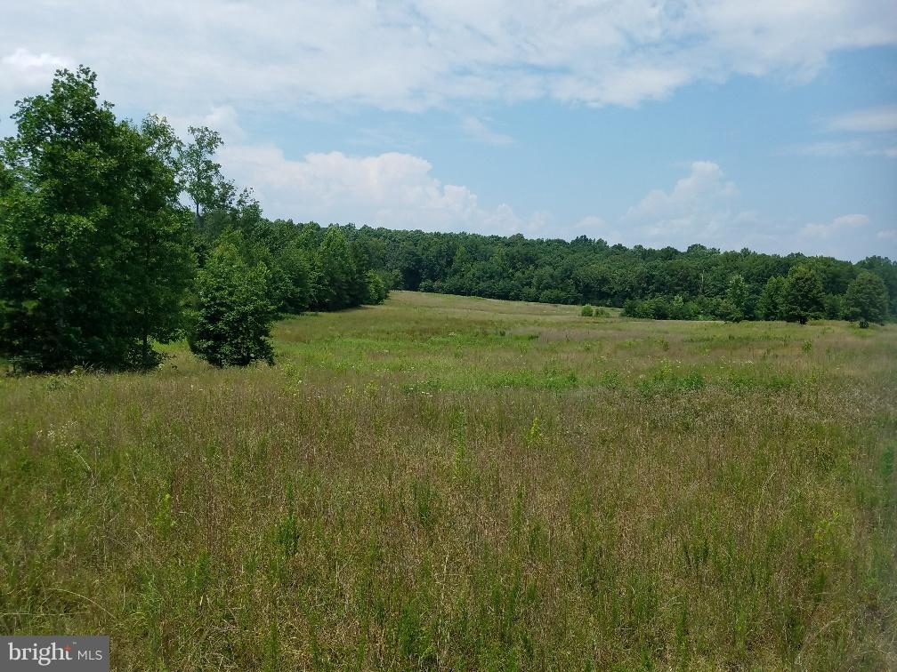 Halls Store Road Mineral, VA 23117 - Photo 8 of 9 Exterior (General)