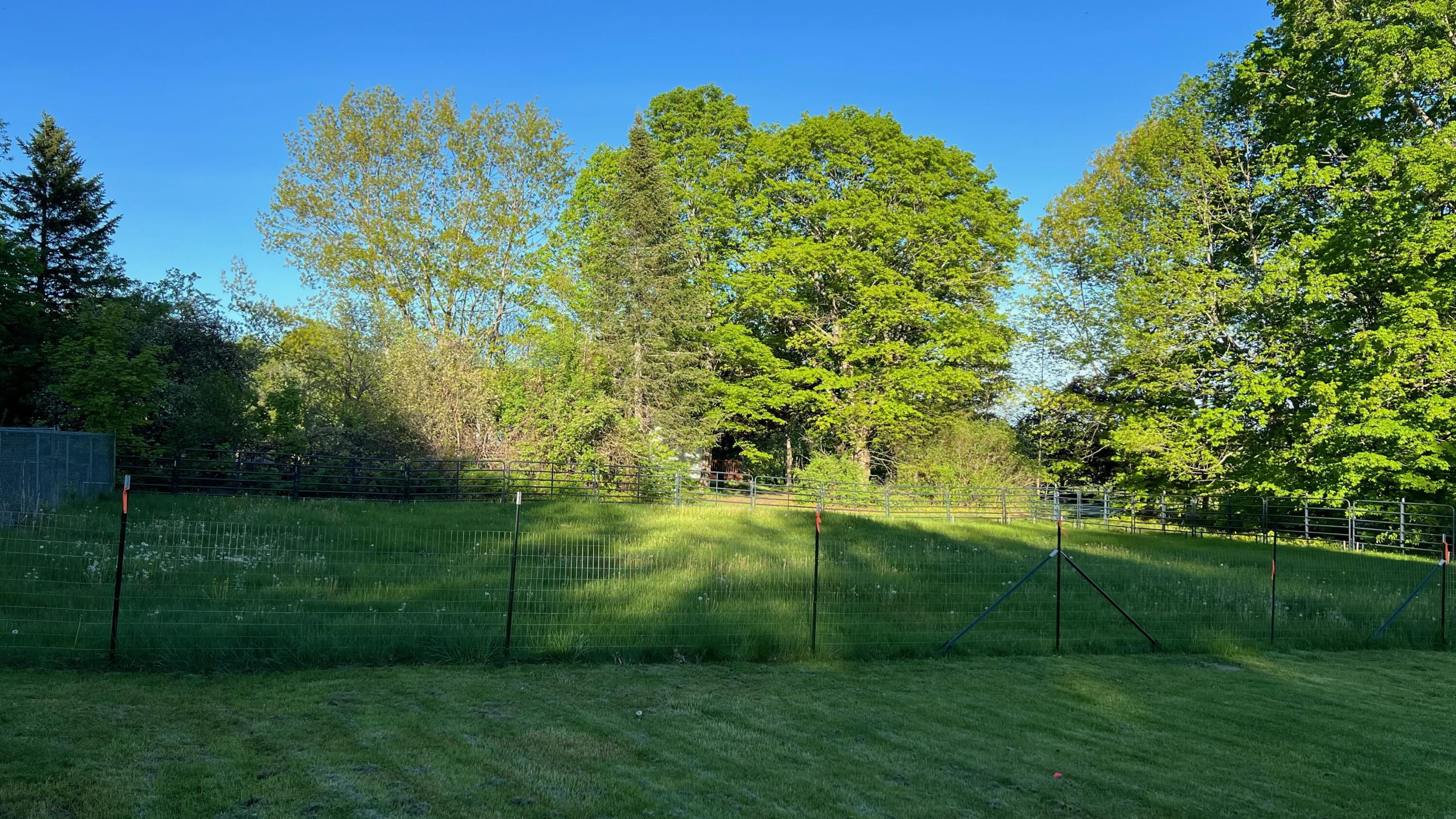 176 N Road Harmony, ME 04942 - Photo 18 of 20 fence