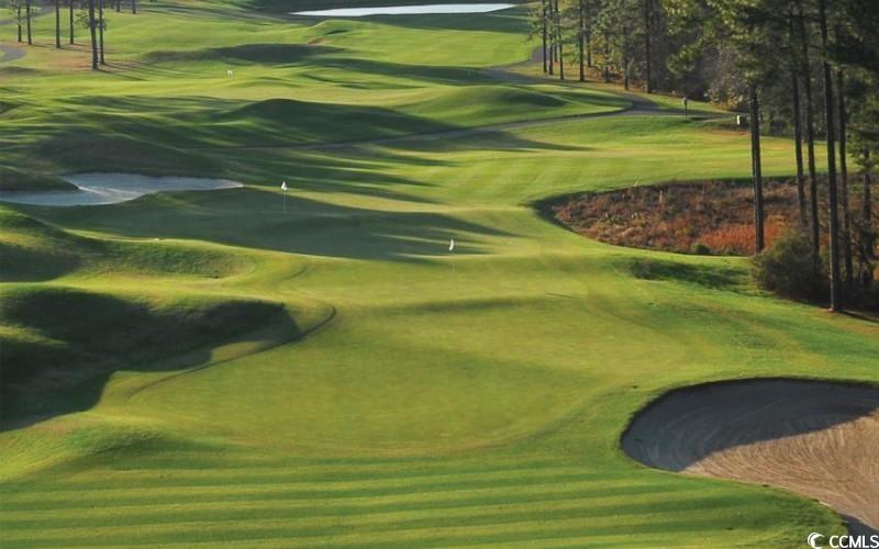 1027 Clamour Court Conway, SC 29526 - Photo 13 of 25 View of community with view of golf course