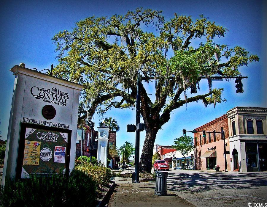 1027 Clamour Court Conway, SC 29526 - Photo 16 of 25