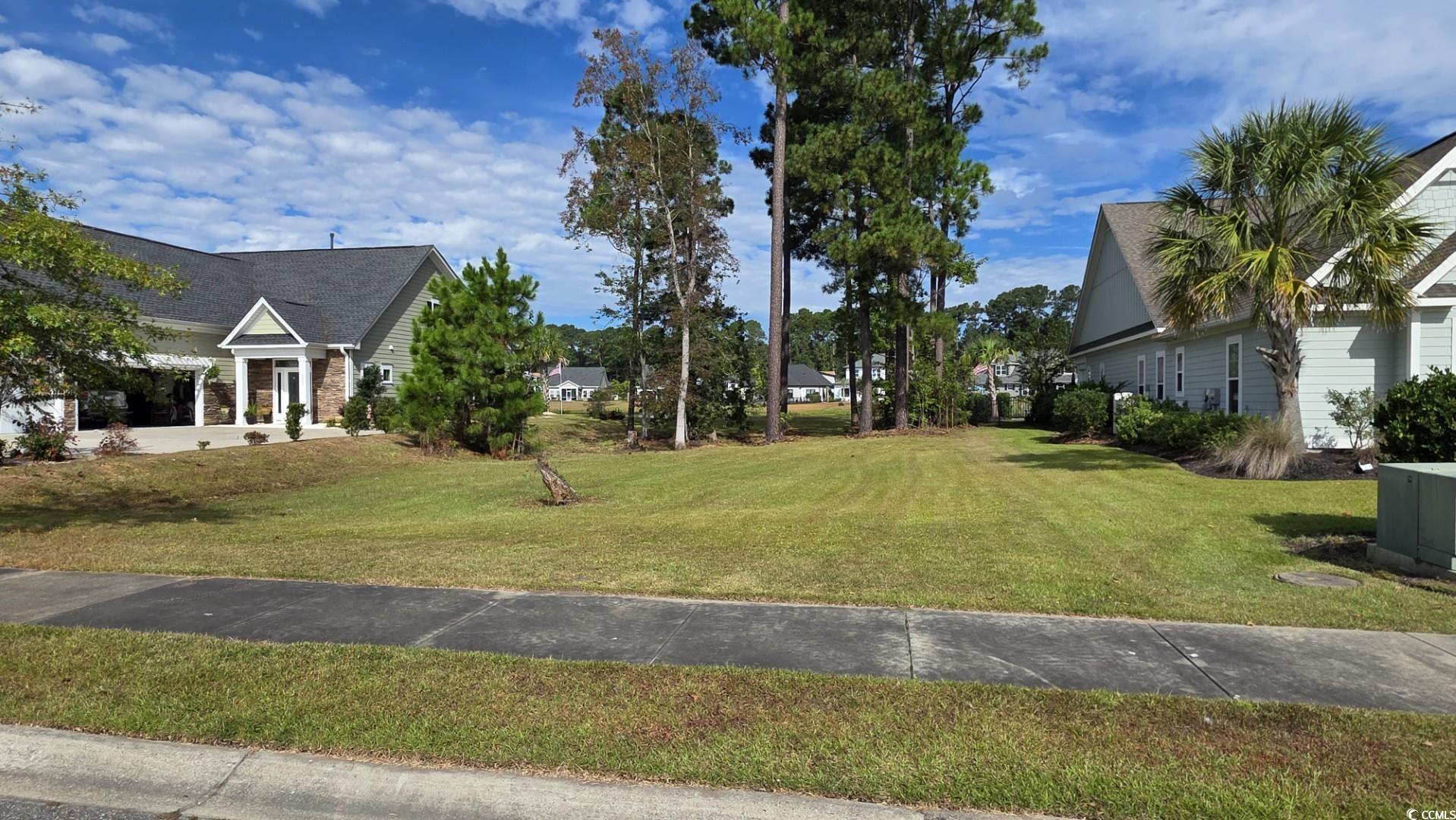 1027 Clamour Court Conway, SC 29526 - Photo 3 of 25