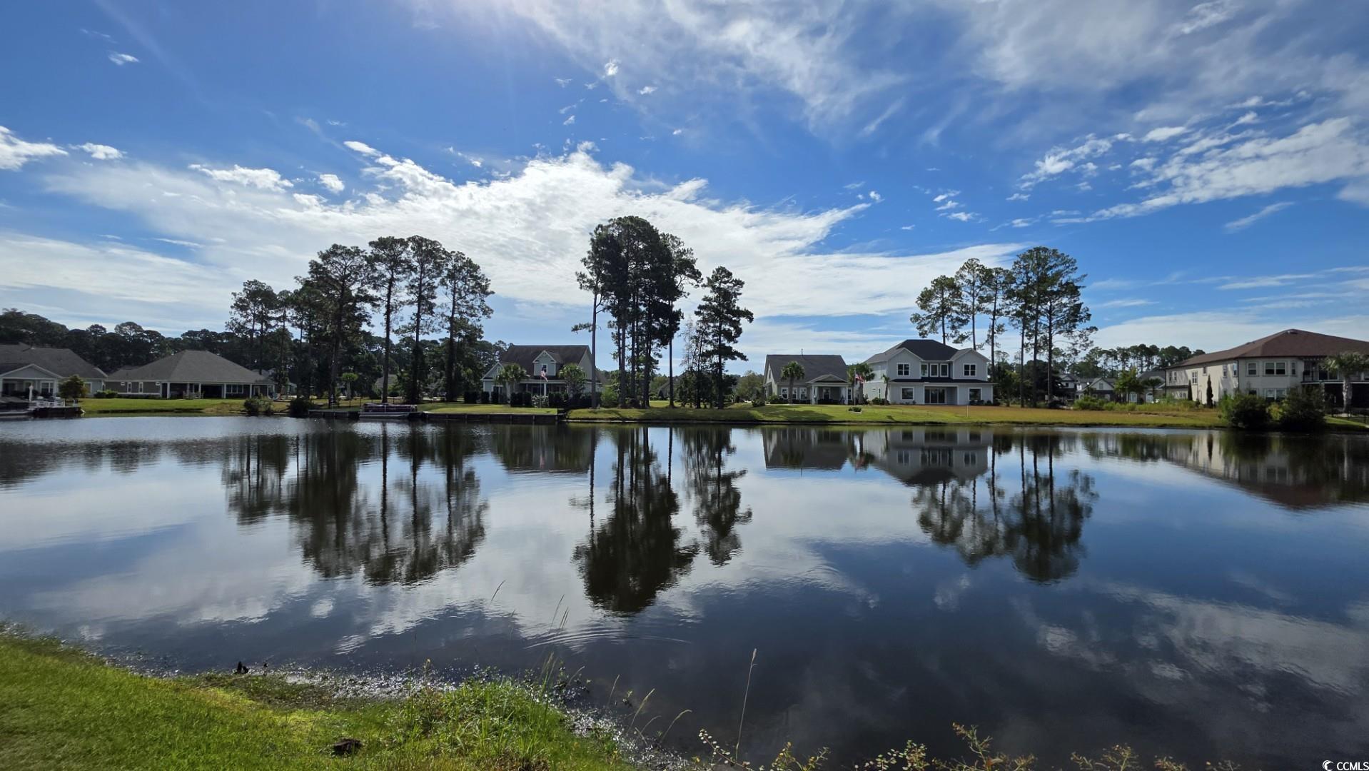 1027 Clamour Court Conway, SC 29526 - Photo 5 of 25