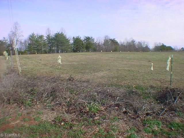 2975 Rome Anthony Road Yadkinville, NC 27055 - Photo 12 of 13 Gallery Image 12