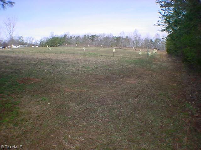 2975 Rome Anthony Road Yadkinville, NC 27055 - Photo 8 of 13 Gallery Image 8