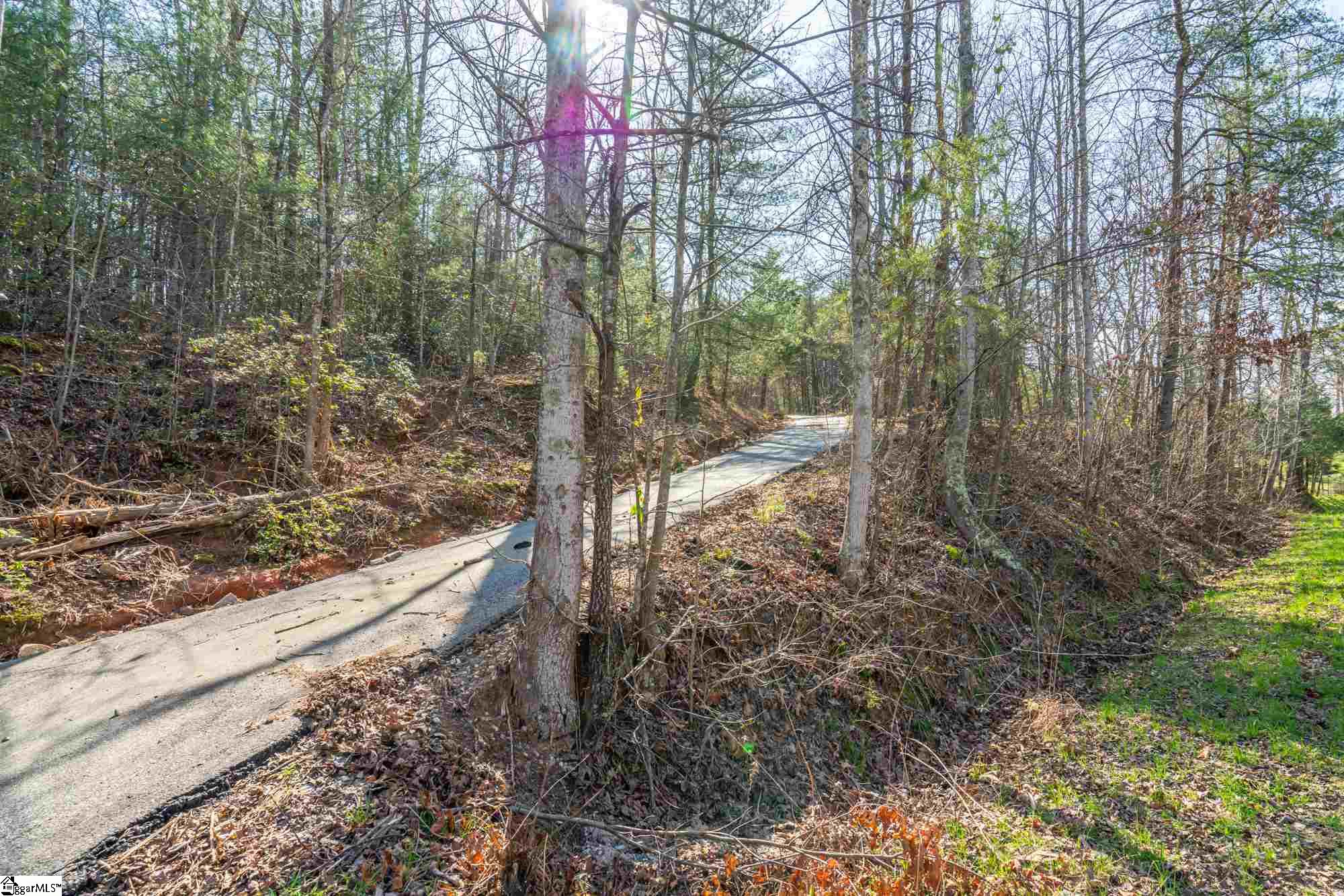 115 Parnell Bridge Road Marietta, SC 29661 - Photo 2 of 35