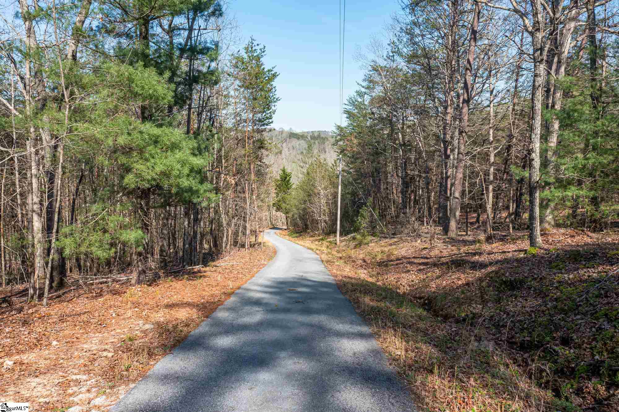 115 Parnell Bridge Road Marietta, SC 29661 - Photo 28 of 35