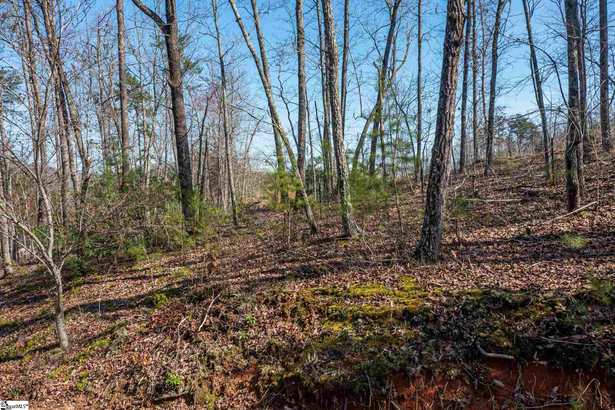 115 Parnell Bridge Road Marietta, SC 29661 - Photo 30 of 35