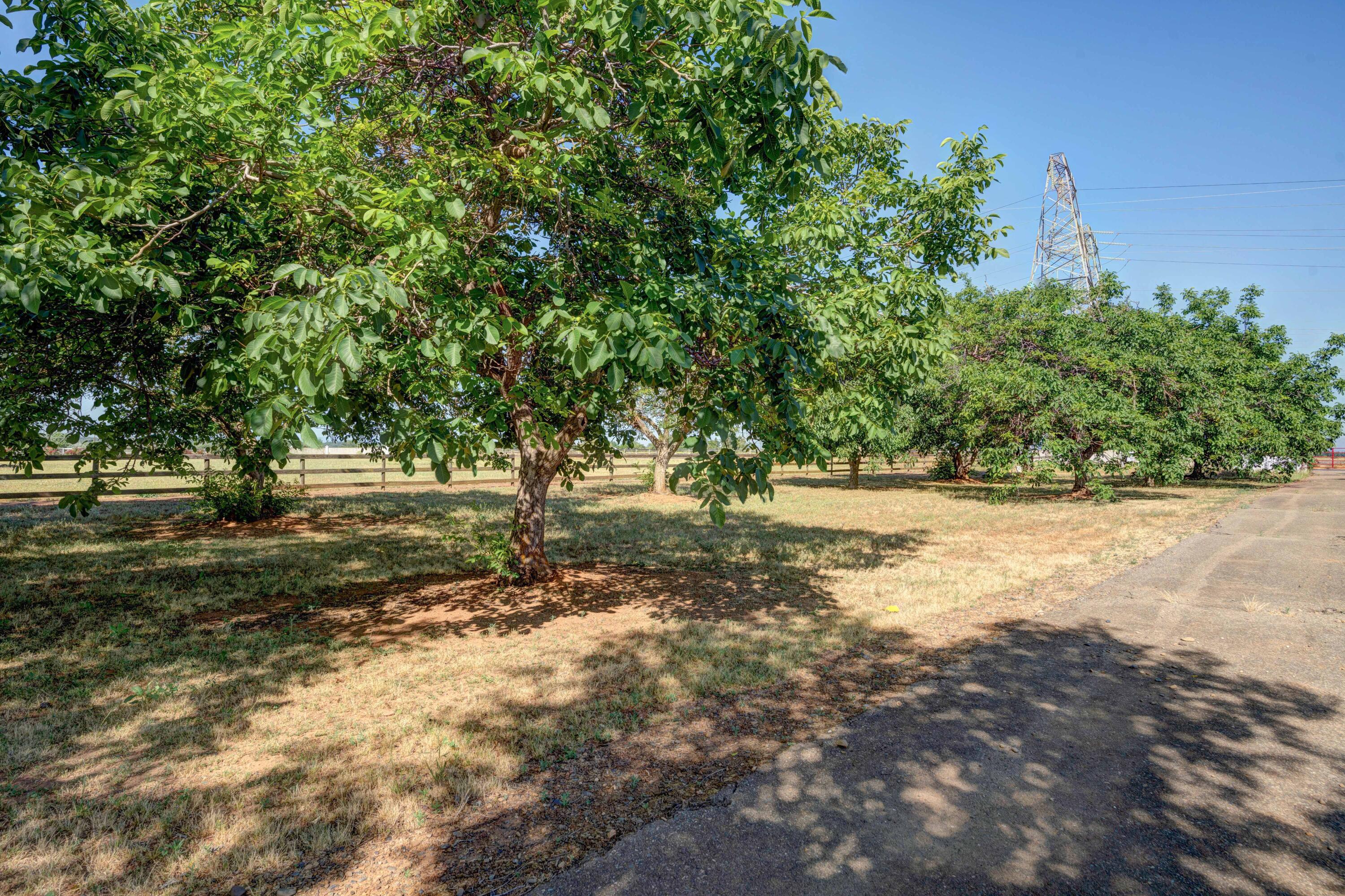 21955 Kimberly Road Anderson, CA 96007 - Photo 51 of 53 Redding-Real-Estate-Photography-4