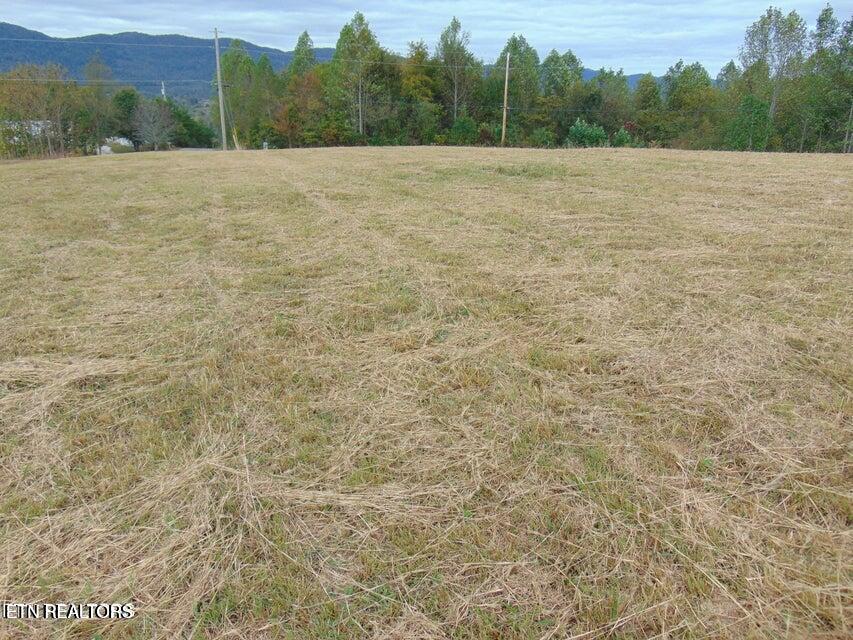 309 Elizabeth Russell Lane Speedwell, TN 37870 - Photo 5 of 16 5