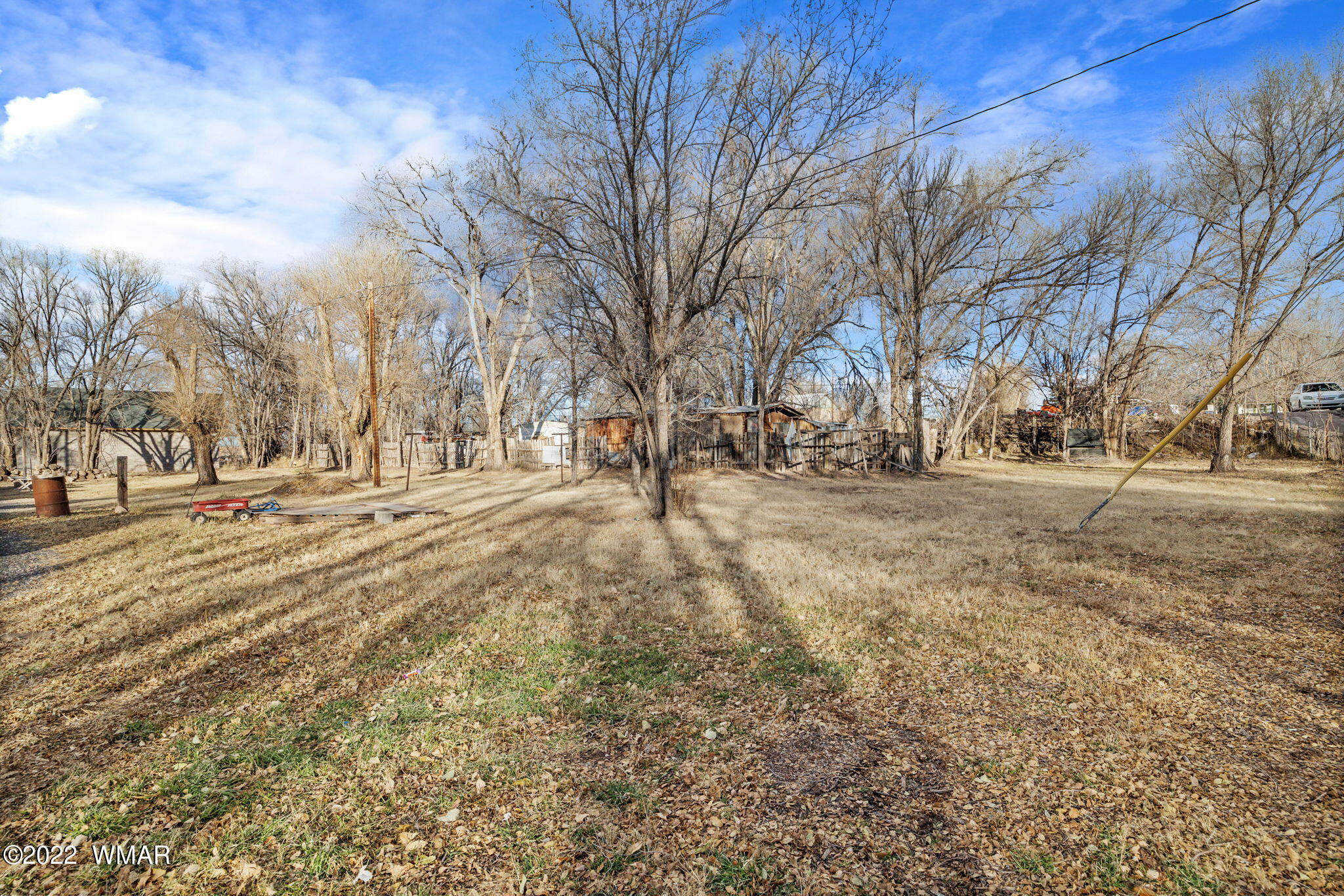 300 South Mountain Avenue Springerville, AZ 85938 - Photo 7 of 20