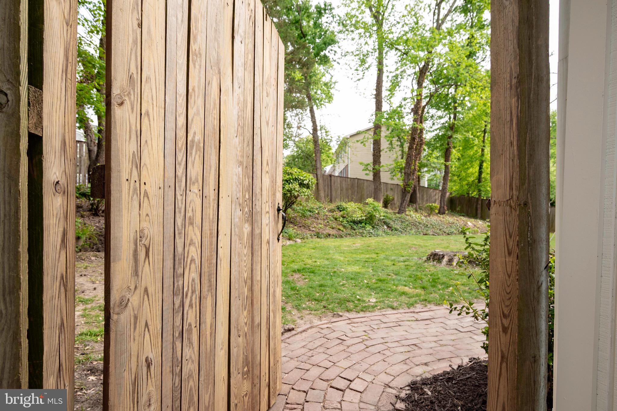 6001 Beech Tree Drive Alexandria, VA 22310 - Photo 5 of 63 a view of a backyard with potted plants