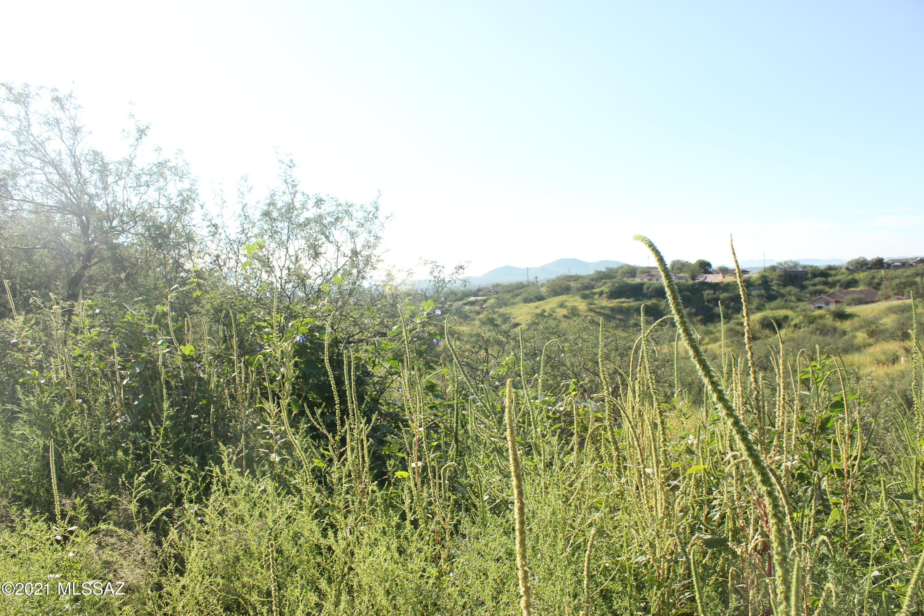 965 Via Puebla, Unit 62 Rio Rico, AZ 85648 - Photo 2 of 4