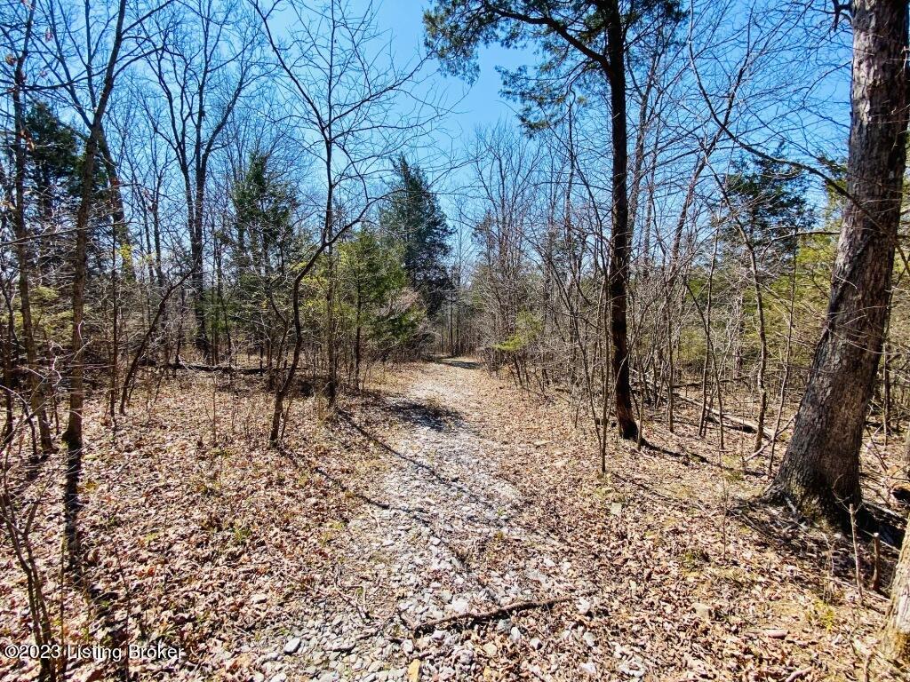 2723 Tatum Ridge Road Willisburg, KY 40078 - Photo 19 of 42 019_79791060