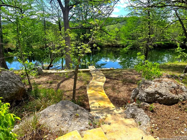 a view of a yard with plants