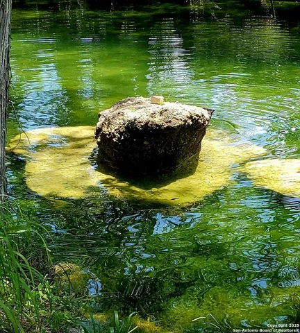 a view of a yard with an trees