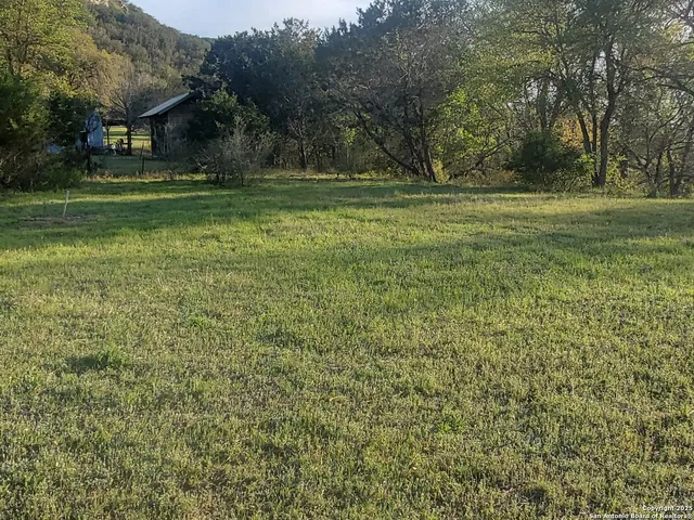 a view of a grassy field with trees