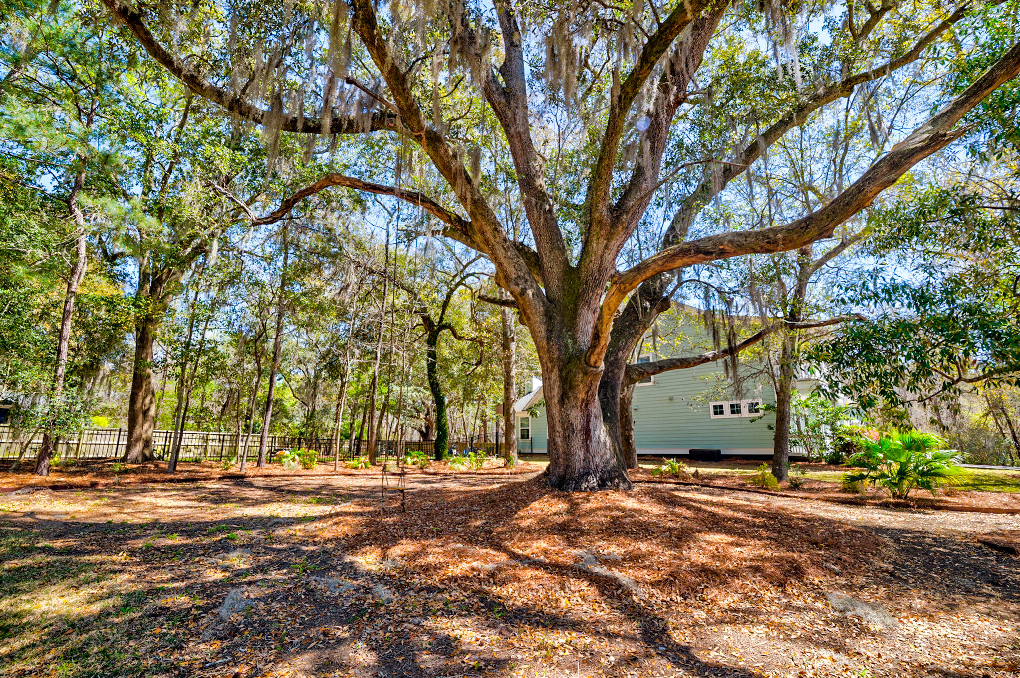 2107 Nicholas David Path Johns Island, SC 29455 - Photo 43 of 46 2107 Nicholas David - 54 - CMG