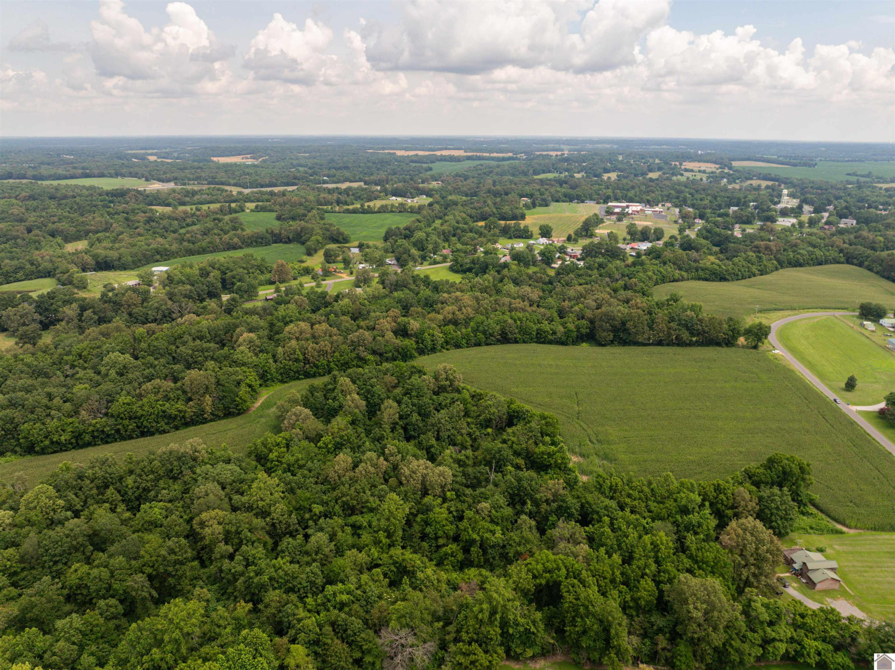 0 Boyd Road Wingo, KY 42088 - Photo 6 of 13 Photo 6