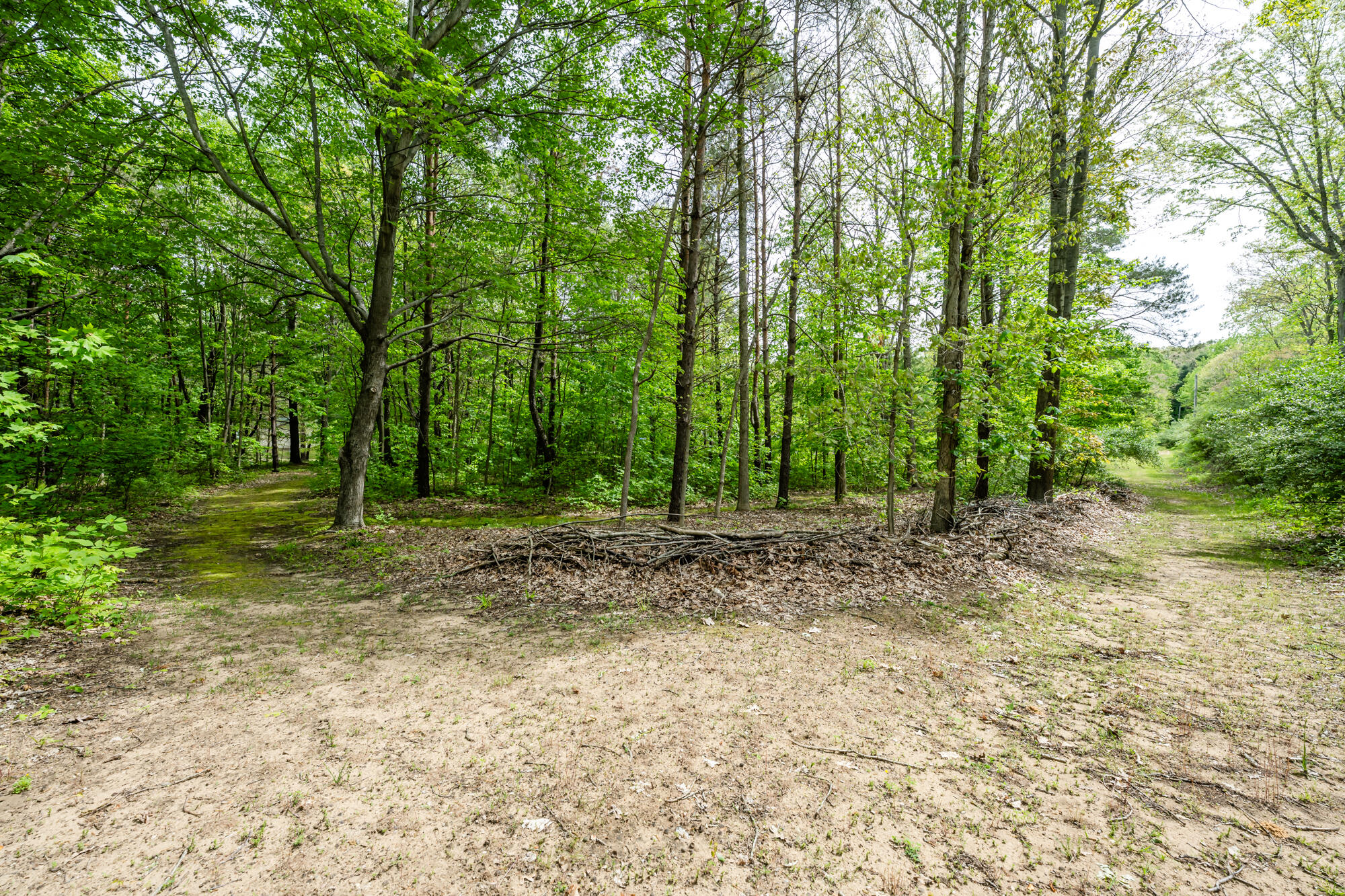 13953 Minnich Road Sawyer, MI 49125 - Photo 45 of 56 Minnich-146