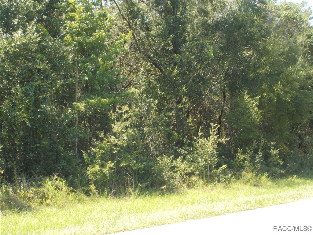 1964 East Celina Street Inverness, FL 34453 - Photo 4 of 9