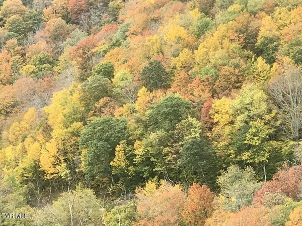 $2,200,000 | 451 Heaton Creek Road, Roan Mountain, TN 37687